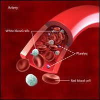 Platelet Rich Plasma therapy