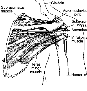 Rotator Cuff Injury